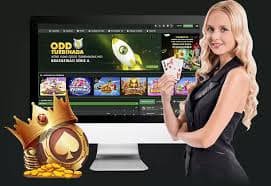 dreambet